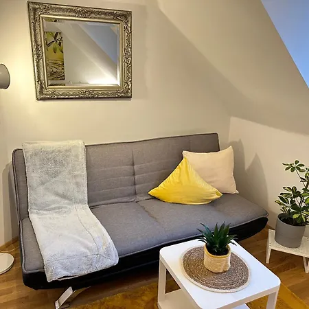 Affittacamere The Peaceful Garden & Free Parking Salisburgo